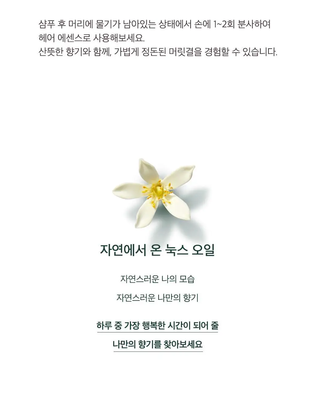 [화잘먹오일프렙/멀티오일] 눅스 윌 프로디쥬스 멀티 드라이 오일 50ml(단품) 상세페이지 20